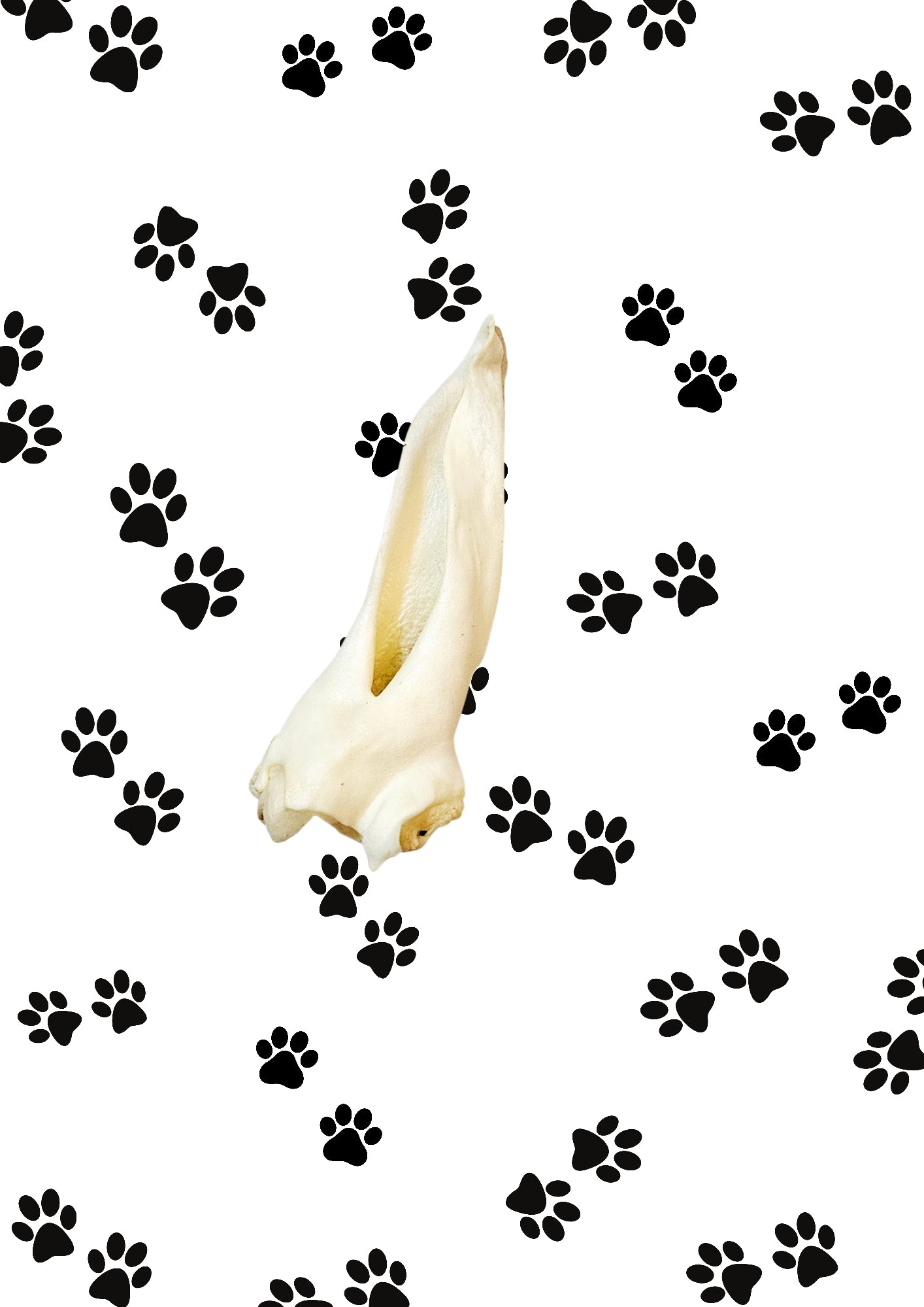 Lambs Ear - No Fur