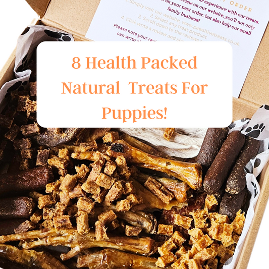 8 Health Packed Natural Treats For Puppies!