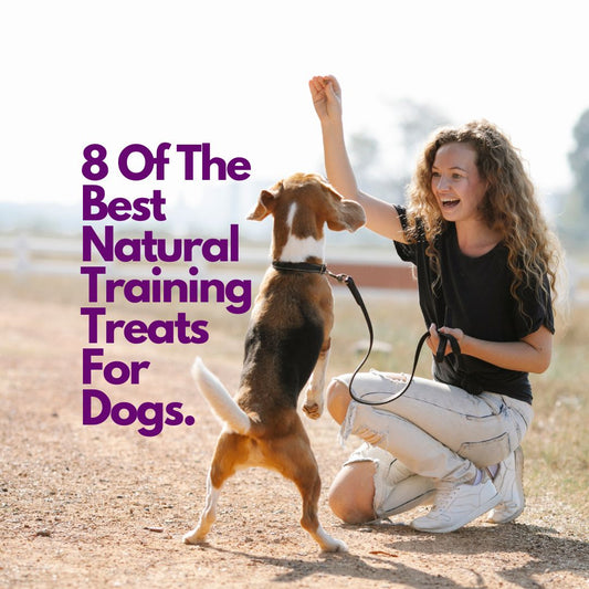 8 Of The Best Natural Training Treats For Dogs!