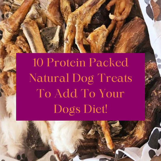 10 high protein natural dog treats to add to your diet!