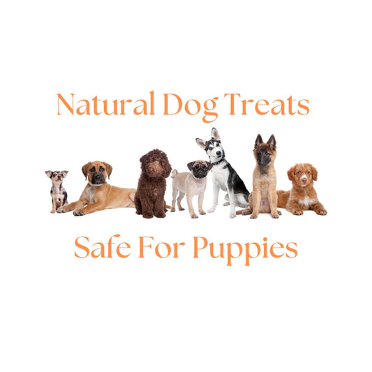 Natural Dog Treats, Safe For Puppies