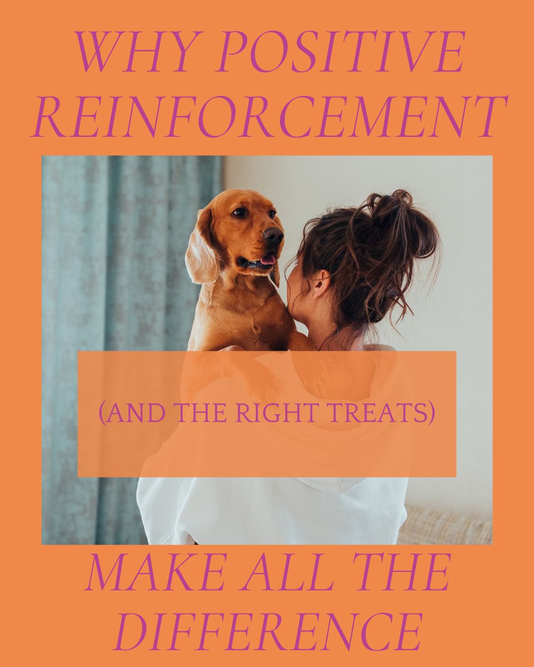 Why Positive Reinforcement (and the Right Treats) Make All the Difference