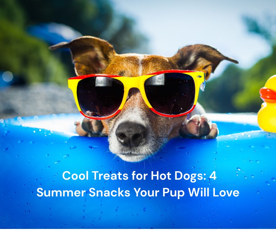 🌞 Cool Treats for Hot Dogs: 4 Summer Snacks Your Pup Will Love