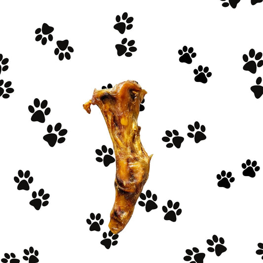 Ostrich Foot - Small