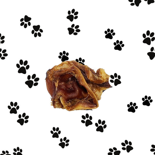 Porky Bite