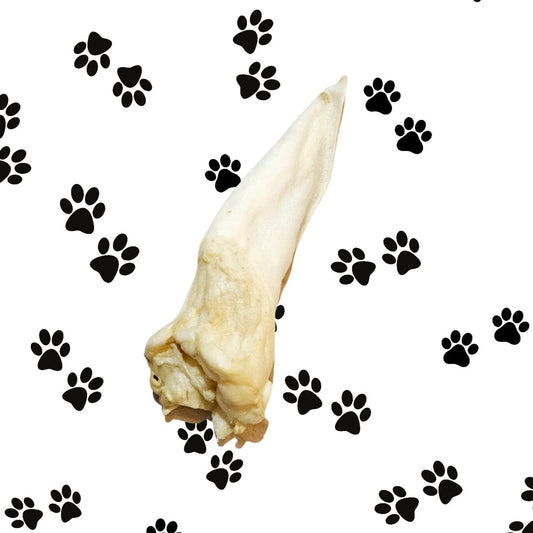 Lambs Ear - No Fur