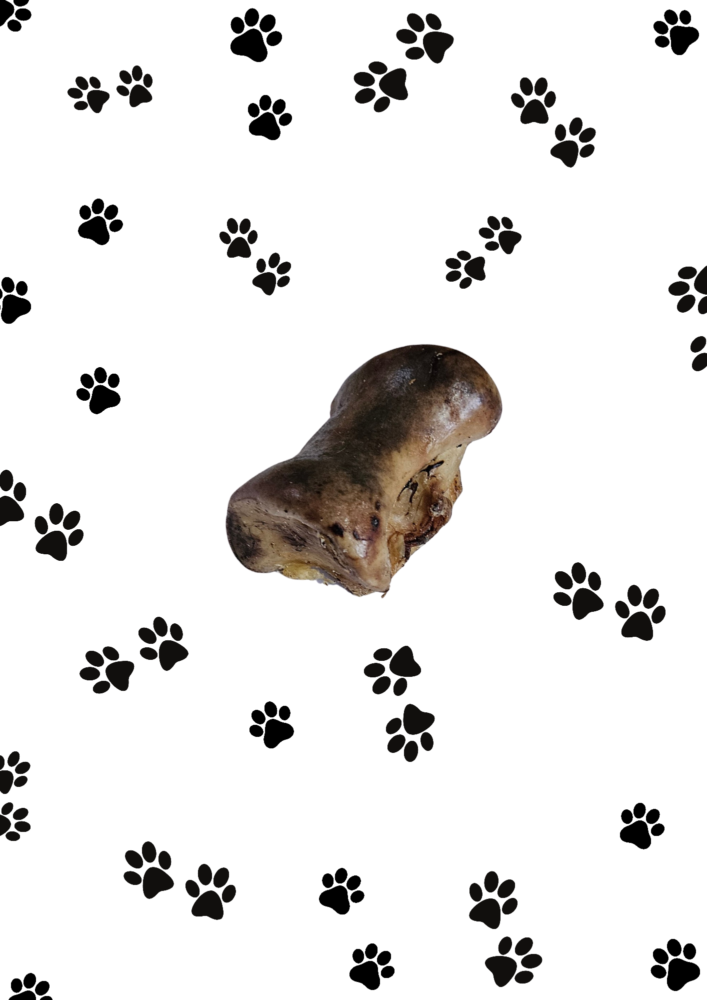 Ostrich Knuckles Small