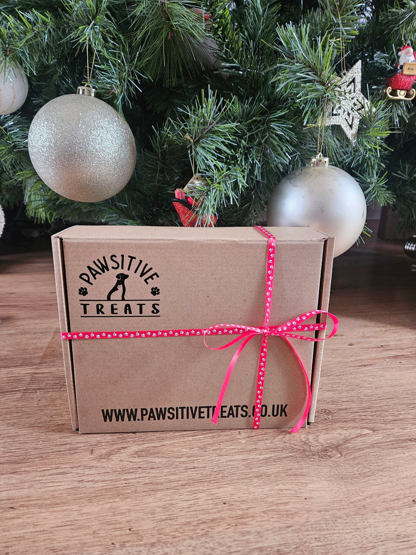 Santa Paws Christmas Box | Natural Festive Dog Treats UK | Pawsitive Treats