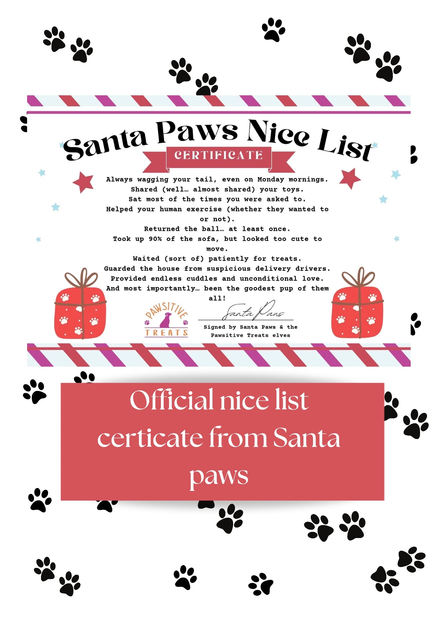 Santa Paws Christmas Box | Natural Festive Dog Treats UK | Pawsitive Treats